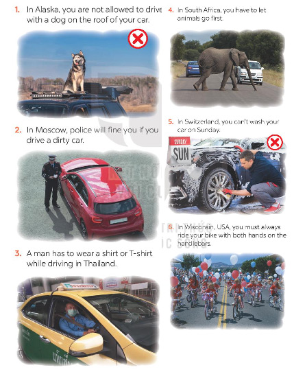 Unit 7 lớp 7 Communication sách Global Success