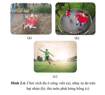 Giải Lý 10 Bài 2 CD