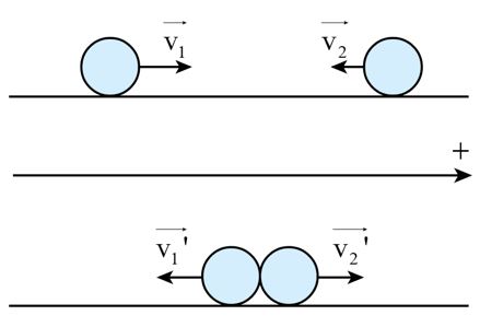 Giải Lý 10 bài 2 CD