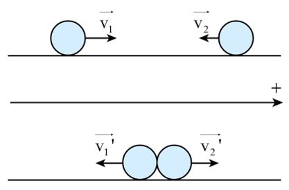 Giải Lý 10 Bài 2