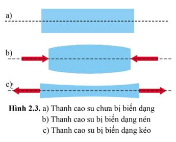 Giải Lý 10 Bài 2