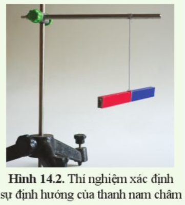 Câu hỏi trang 76 KHTN lớp 7