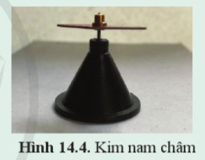 Luyện tập 1 trang 77 KHTN lớp 7