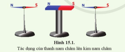 Hình 15.1 SGK Khoa học tự nhiên 7