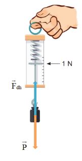 Giải Lý 10 Bài 17 KNTT