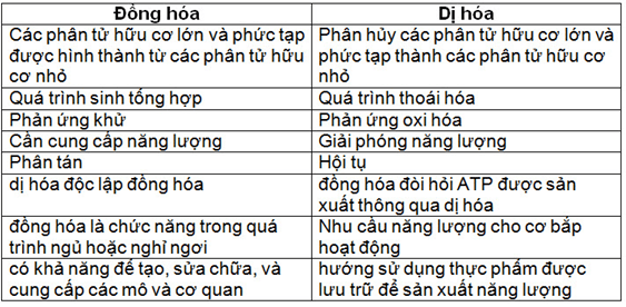 ôn tập sinh học 10