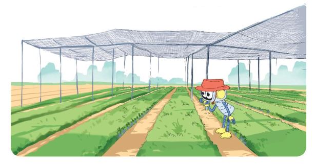 Toán lớp 3 Tập 2 trang 96 Bài 4