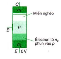 Vật lý 11 Bài 17