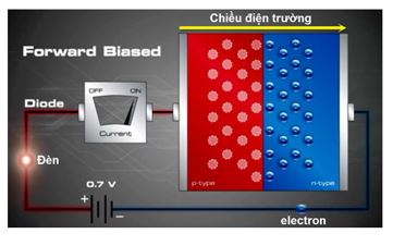 Vật lý 11 Bài 17