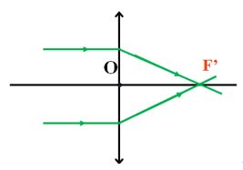 Vật lý 11 Bài 29