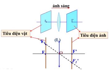 Vật lý 11 Bài 29