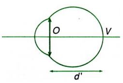 Vật lý 11 Bài 31