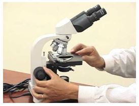 Vật lý 11 Bài 33