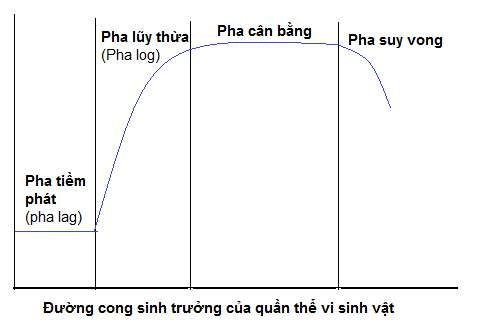 ôn tập sinh 10