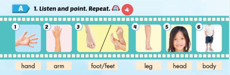 Sách Smart Start 3 Unit 5 P.E.