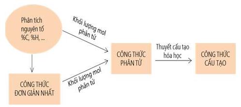 Hóa học 11 Bài 24