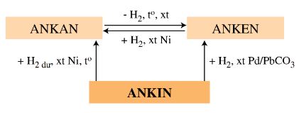 Hóa học 11 Bài 33