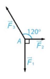 Trắc nghiệm Toán 10 Bài 8 KNTT