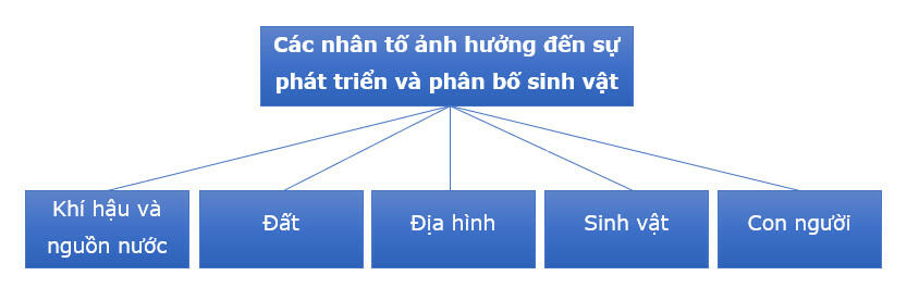 Ôn tập địa lý 10