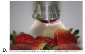 Đề thi giữa học kì 2 môn Công nghệ 10 Kết nối tri thức năm học 2022 - 2023