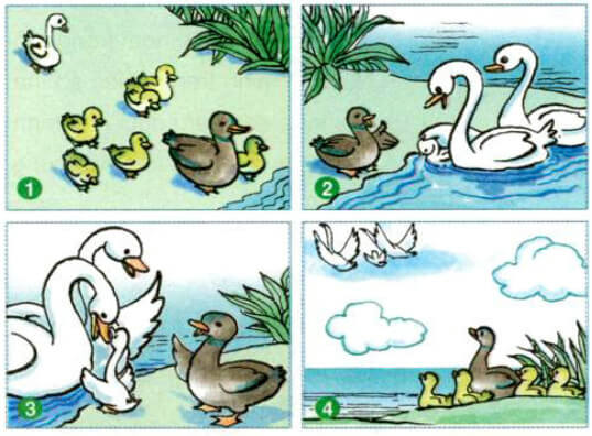 Kể chuyện: Con vịt xấu xí