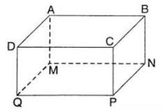 Cho hình hộp chữ nhật như hình vẽ: