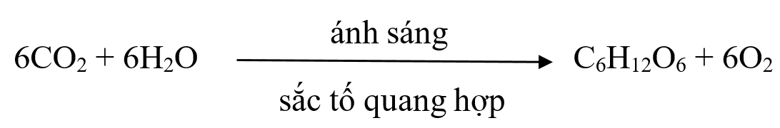 Lý thuyết sinh học 10