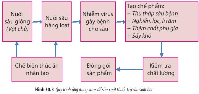 Lý thuyết sinh học 10