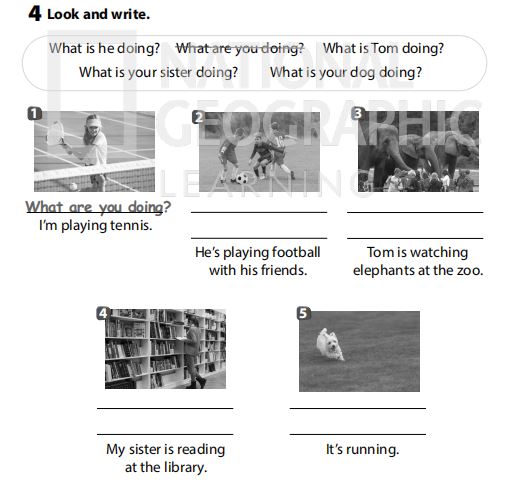 Sách bài tập Tiếng Anh 3 Wonderful World Unit 8 Lesson 2