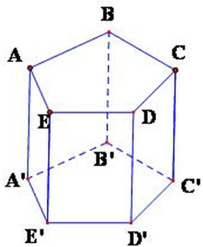 Trắc nghiệm Hình lăng trụ đứng có đáp án - Toán lớp 8 (ảnh 5)