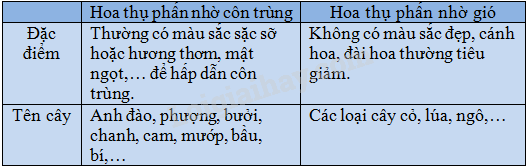 Lí thuyết Sự sinh sản của thực vật có hoa