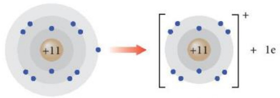 Lý thuyết hóa 10