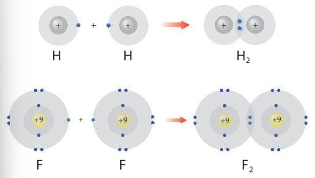 Lý thuyết hóa 10