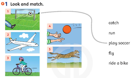 Family and Friends 3 Workbook Unit 9 Lesson 1 trang 62