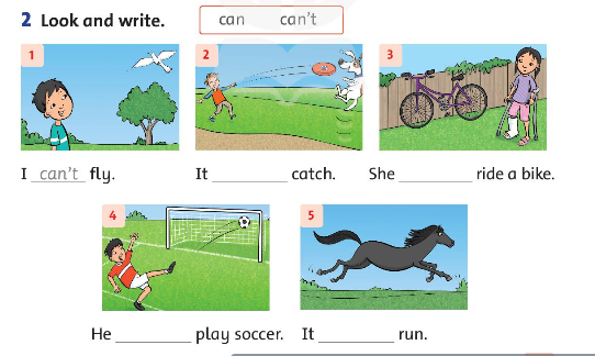 Family and Friends 3 Workbook Unit 9 Lesson 2 trang 63