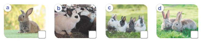 Tiếng Anh lớp 3 Global Success Unit 16 Lesson 2