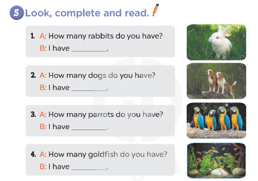 Tiếng Anh lớp 3 Global Success Unit 16 Lesson 2