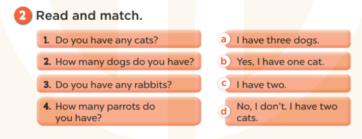 Sách bài tập Tiếng Anh lớp 3 Unit 16 My pets