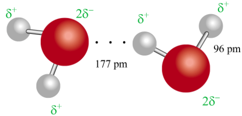 Liên kết hydrogen giữa hai phân tử nước