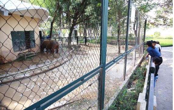 Kể về một chuyến tham quan của em