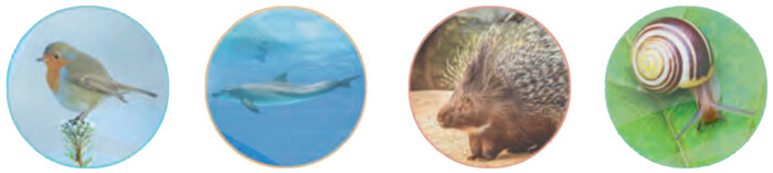 Giải Bài 3: Một mái nhà chung trang 112