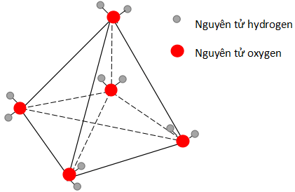 Cấu trúc của tinh thể phân tử nước đá