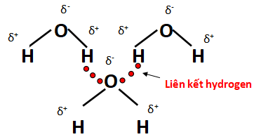 Liên kết hydrogen giữa các phân tử nước