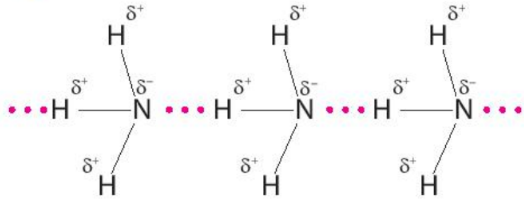 Liên kết hydrogen giữa các phần tử ammonia