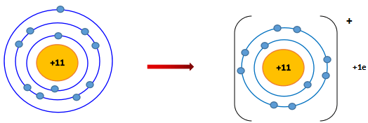 Nguyên tử sodium (Na) lon sodium (Na+)