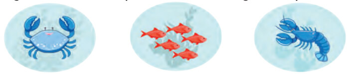 Ôn tập cuối học kì 2 lớp 3 - Tiết 1