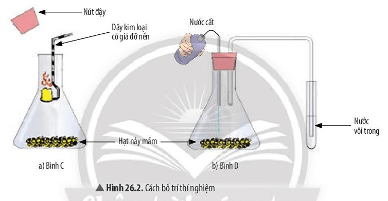 Khoa học tự nhiên 7 CTST