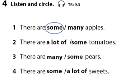 Sách bài tập Tiếng Anh 3 Wonderful World Review 5