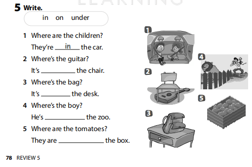 Sách bài tập Tiếng Anh 3 Wonderful World Review 5