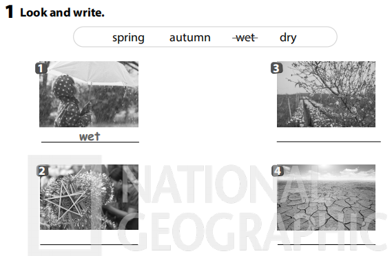 Sách bài tập Tiếng Anh 3 Wonderful World Unit 10 Lesson 3